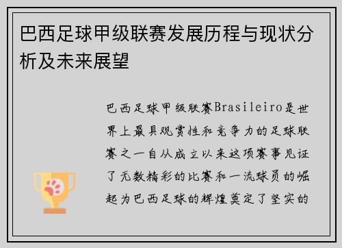 巴西足球甲级联赛发展历程与现状分析及未来展望
